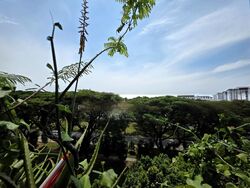 Blk 330 Kampung Ubi Estate (Geylang), HDB 4 Rooms #503113791